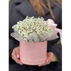 Гипсофила белая в коробке Гипсофила белая в коробке