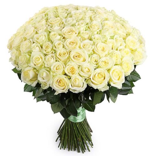 Белые розы (60 см) выбрать поштучно